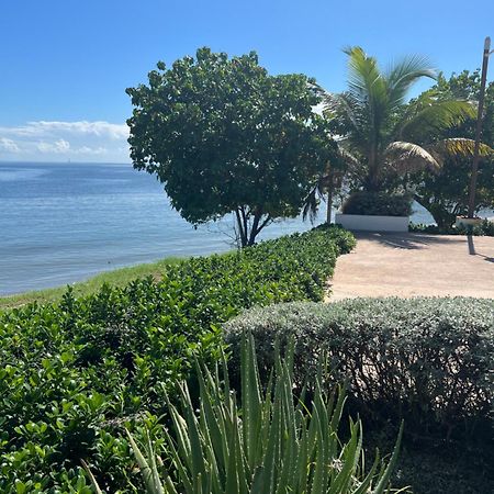 Bayfront Villa & Apartment ポートモア エクステリア 写真