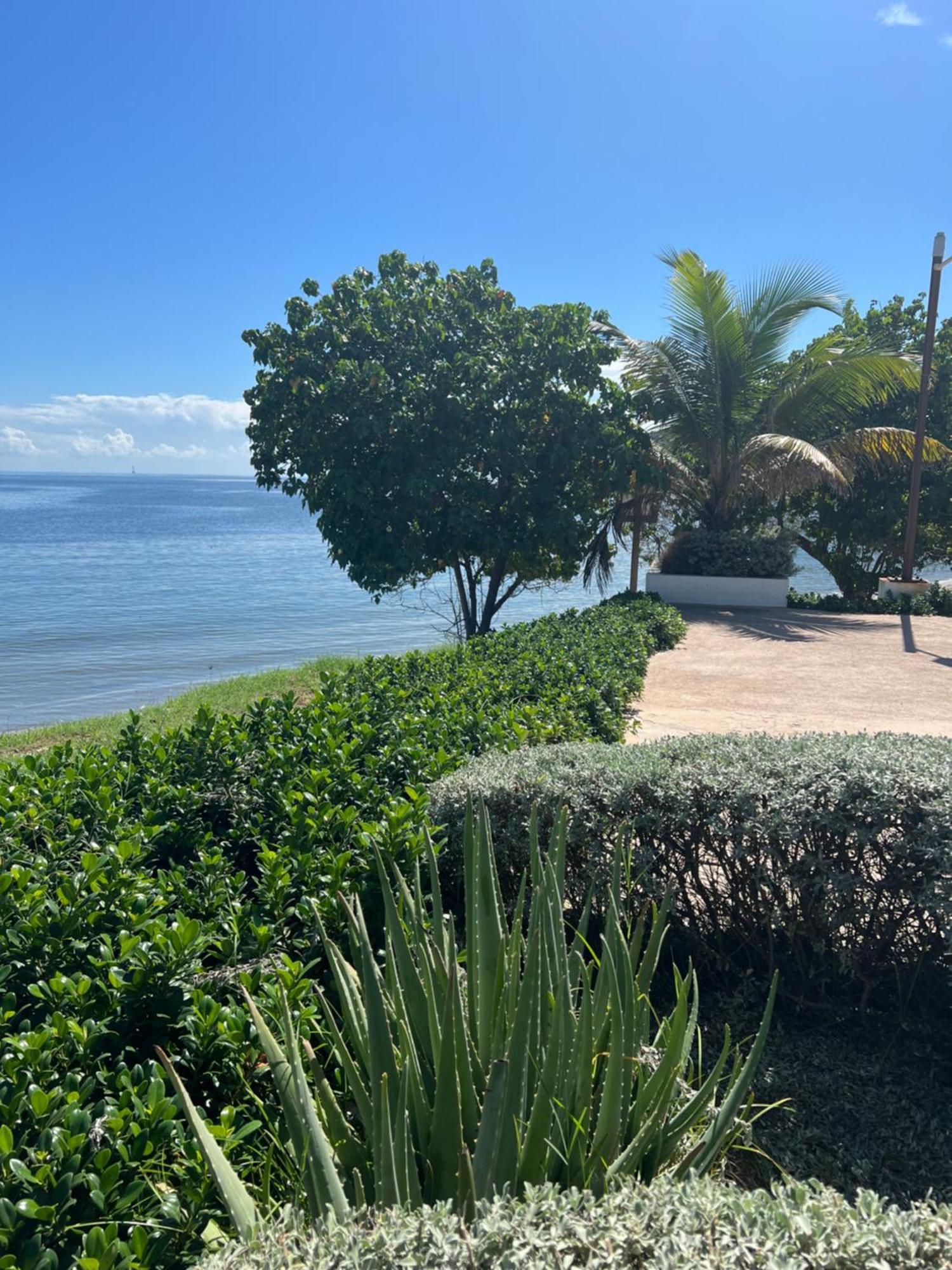Bayfront Villa & Apartment ポートモア エクステリア 写真